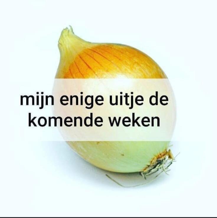 Mijn Enige Uitje